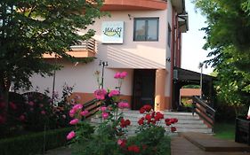 Vila Delta Travel - Mila 23